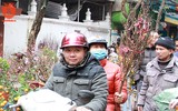Lên ngay chợ hoa Hàng Lược để thấy Tết về